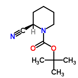 R-1-N-BOC-2-氰基哌啶