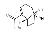 (+/-)-2-乙酰基-9-氮杂双环[4.2.1]-2-富马酸壬酯