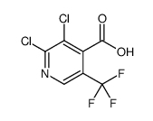 2,3-二氯-5-(三氟甲基)异烟酸