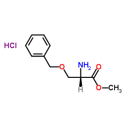 O-苄基-L-丝氨酸甲酯盐酸盐