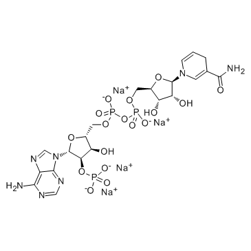 还原型辅酶II(NADPH)
