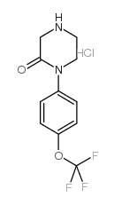 1-(4-(三氟甲氧基)苯基)-2-哌嗪酮盐酸盐