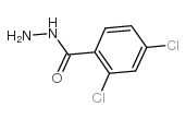 2,4-二氯苯酰肼
