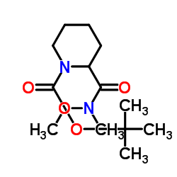 1-叔丁氧羰基-2-[N-甲氧基-N-甲基羰基]哌啶