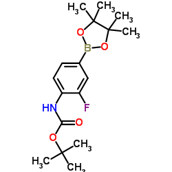 2-氟-4-(4,4,5,5-四甲基-1,3,2-二氧代硼戊烷-2-基)苯基氨基甲酸叔丁酯 (262444-42-8)