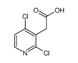 2,4-二氯吡啶-3-乙酸