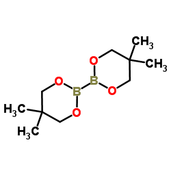 联硼酸新戊二醇酯 (201733-56-4)