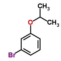1-溴-3-苯氧基丙烷