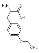 O-乙基-L-酪氨酸 (32795-52-1)
