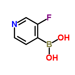 3-氟吡啶-4-硼酸
