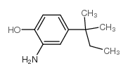 2-氨基-4-叔戊基苯酚