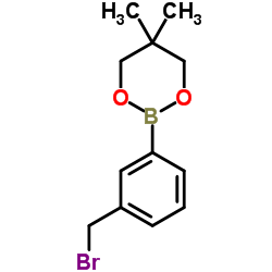 3-溴甲基苯基硼酸, 新戊二醇酯 (143805-78-1)