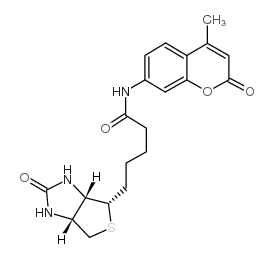 N-D-生物素-7-氨基-4-甲基香豆素
