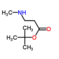 3-(甲基氨基)丙酸叔丁酯