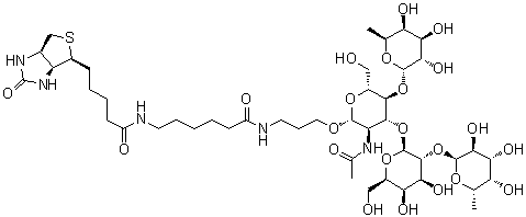 (3AS,4S,6AR)-N-[6-[[3-[[O-6-脱氧-ALPHA-L-吡喃半乳糖基-(1-2)-O-BETA-D-吡喃半乳糖基-(1-3)-O-[6-脱氧-ALPHA-L-吡喃半乳糖基-(1-4)]-2-(乙酰氨基)-2-脱氧-BETA-D-吡喃葡萄糖基]氧基]丙基]氨基]-6-氧代己基]六氢-2-氧代-1H-噻吩并[3,4-D]咪唑-4-戊酰胺