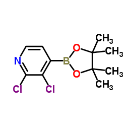 2,3-二氯吡啶-4-硼酸频哪醇酯