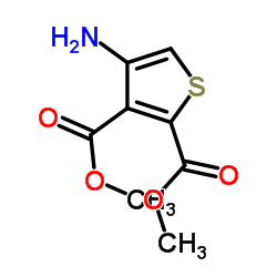 4-氨基噻吩-2,3-二甲酸甲酯盐酸盐