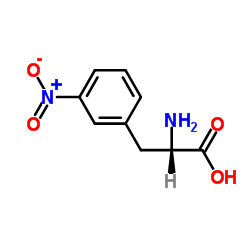 L-3-硝基苯丙氨酸