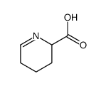2,3,4,5-四氢吡啶-2-羧酸 (3038-89-9)