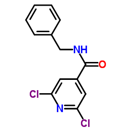 N4-苄基-2,6-二氯异烟酰胺