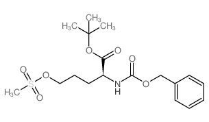 5-甲磺酰氧基基-N-苄氧羰基-L-正缬氨酸叔丁酯