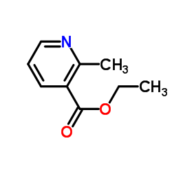 2-甲基烟酸乙酯