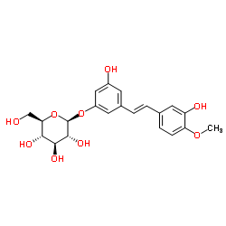 Rhaponiticin； 土大黄昔