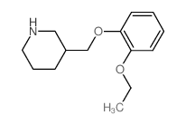 3-[(2-乙氧基苯氧基)甲基]哌啶