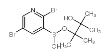 2,5-二溴吡啶-3-硼酸频哪醇酯