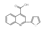 2-噻吩基-2-基喹啉-4-羧酸