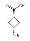 CIS-3-氨基环丁酸