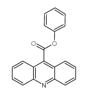 苯基吖啶-9-羧酸酯 (109392-90-7)