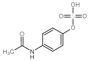 4-乙酰氨基硫酸菲