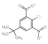 2-氯-5-叔丁基-1,3-二硝基苯 (2213-81-2)