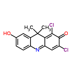 1,3-二氯-7-羟基-9,9-二甲基-2(9H)-吖啶酮 (118290-05-4)