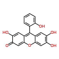 alpha-L-岩藻糖苷酶