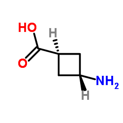 反式-3-氨基环丁基甲酸