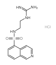 HA 1004 盐酸盐 (92564-34-6)