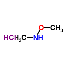 二甲羟胺盐酸盐 (6638-79-5)