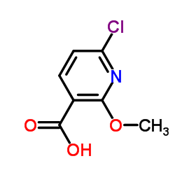 6-氯-2-甲氧基 烟酸