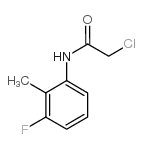 2-氯-n-(3-氟-2-甲基-苯基)-乙酰胺
