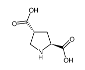 L-反式-吡咯烷-2,4-二羧酸