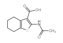 2-乙酰基氨基-4,5,6,7-四氢苯并[b]噻吩-3-羧酸