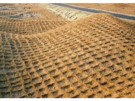 真正的“吞沙巨兽”：国产沙子“胶水”，一天可治40亩，万亩黄沙变良田