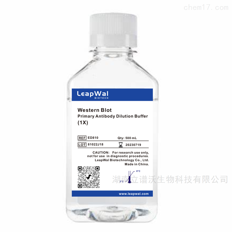 Western Blot一抗稀释液(1X) ED810